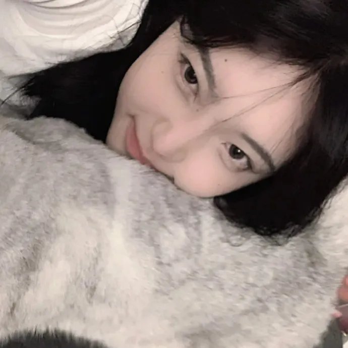 撞彩发达