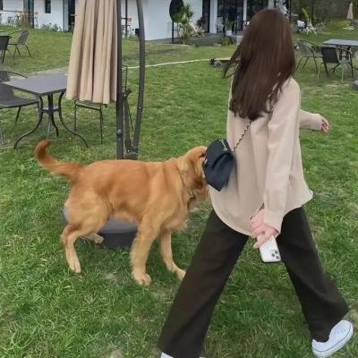 无怨无悔